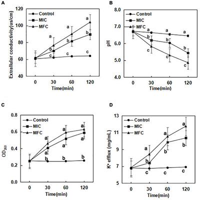 Antifungal mechanism of (E)-2-hexenal against Botrytis cinerea growth revealed by transcriptome analysis